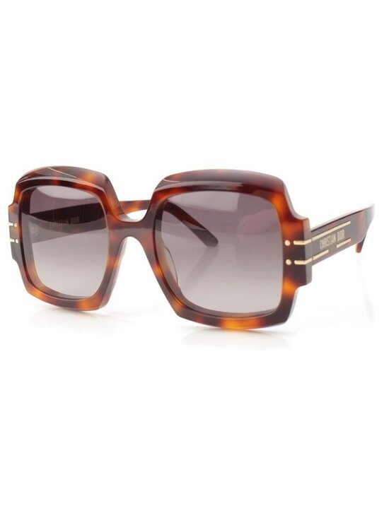 Dior Logo Sunglasses Eyewear Brown main image 10